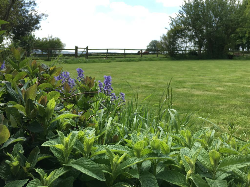 Cotswolds Mine Hill House Bed & Breakfast Lower Brailes Екстериор снимка